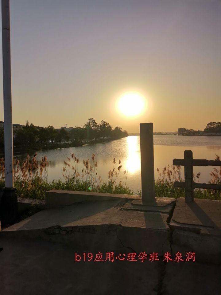 童趣游戏社5月“魅力晨曦,阳光体验 ”拍照活动7.jpg