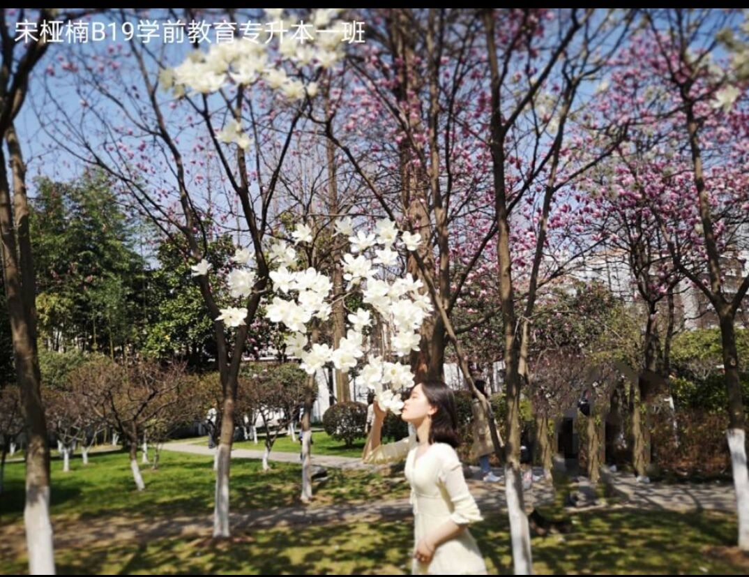 梦幻巴扬手风琴社2020年5月照片收集活动13.jpg